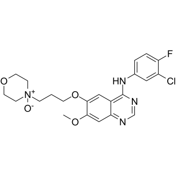 Gefitinib N-oxideͼƬ