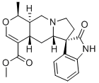 MitraphyllineͼƬ