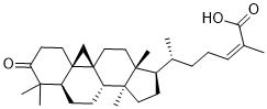 Schisandronic acidͼƬ