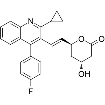 Pitavastatin lactoneͼƬ