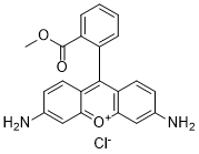 Rhodamine 123(RH-123 R-22420)图片