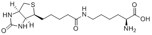 Biocytin图片