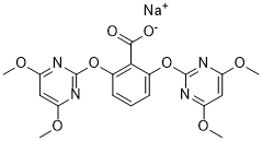 Bispyribac-sodiumͼƬ