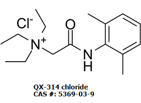 QX-314 chlorideͼƬ