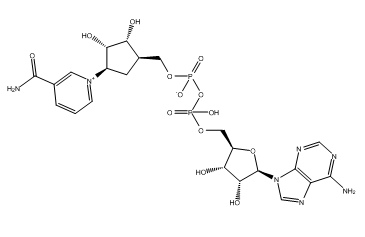 Carba-NAD图片