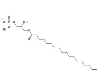 Lysophosphatidic acidͼƬ