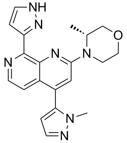 Elimusertib(BAY1895344)图片