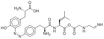 AzoenkephalinͼƬ