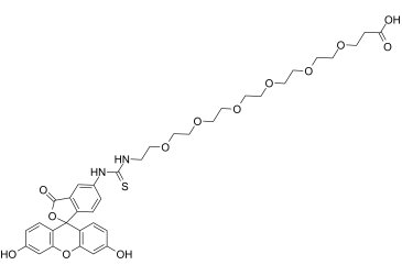 Fluorescein-PEG6-AcidͼƬ