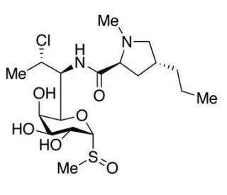 Clindamycin SulfoxideͼƬ