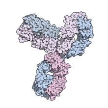 Aducanumab(BIIB037)ͼƬ