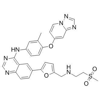 ARRY-380 analogͼƬ