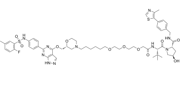 PROTAC SGK3 degrader-1(SGK3-PROTAC1)ͼƬ