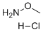 Methoxyamine HCl图片