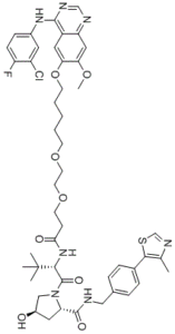 Gefitinib-based PROTAC 3ͼƬ