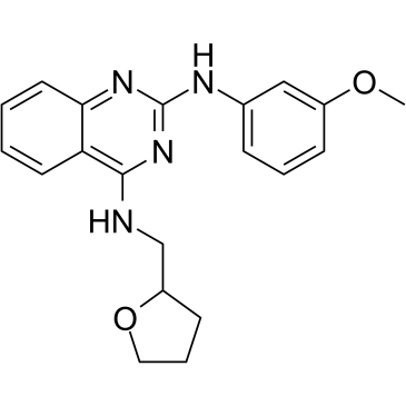 LCH-7749944ͼƬ