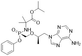 Tenofovir amibufenamide(HS-10234)ͼƬ