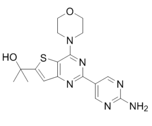 GNE-493ͼƬ