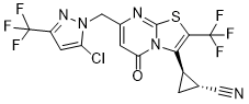 GNE-0723ͼƬ