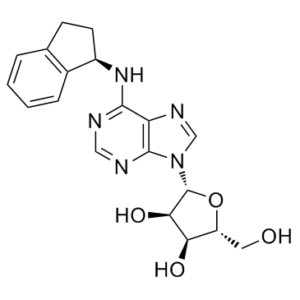 PD 117519图片