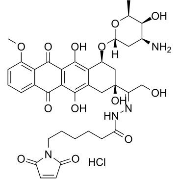 Aldoxorubicin HCl(INNO-206)ͼƬ