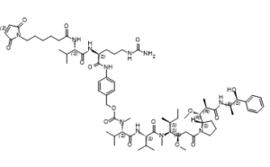 VcMMAE(mc-vc-PAB-MMAE)ͼƬ