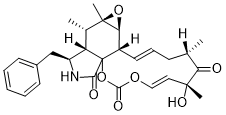 Cytochalasin EͼƬ