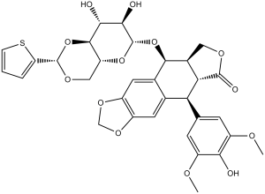 Teniposide(VM-26)ͼƬ