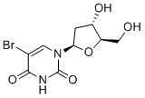 Bromodeoxyuridine(BrdU)ͼƬ