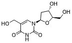 5-HydroxymethyldeoxyuridineͼƬ