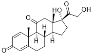 PrednisoneͼƬ