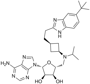 Pinometostat(EPZ-5676)ͼƬ