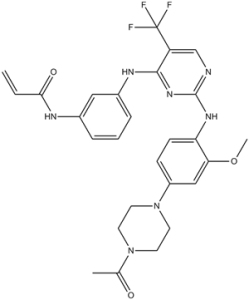 Rociletinib(CO-1686,AVL-301,CNX-419)ͼƬ