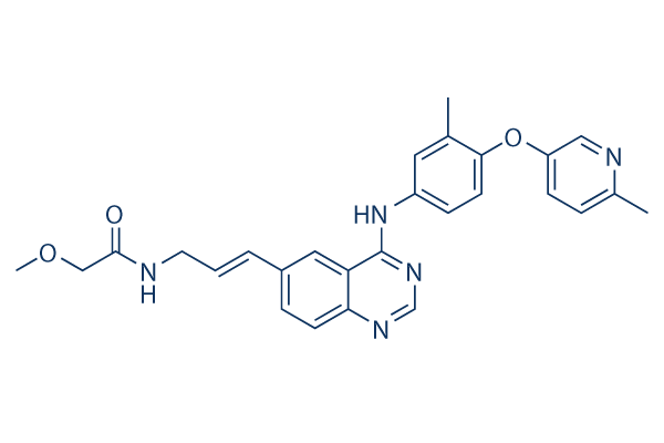 CP-724714ͼƬ