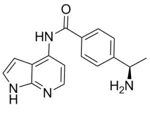 Y-39983ͼƬ