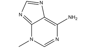 3-Methyladenine(3-MA)ͼƬ