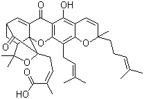 Gambogic AcidͼƬ