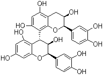 Procyanidin B2ͼƬ