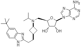 EPZ-5676(Pinometostat)ͼƬ