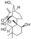 Oridonin(Isodonol)ͼƬ