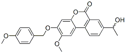 Palomid 529(P529)ͼƬ