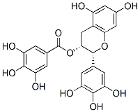 (-)-Epigallocatechin GallateͼƬ