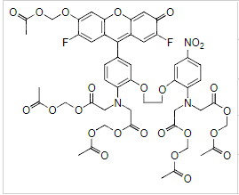 Fluo-5N,AMͼƬ