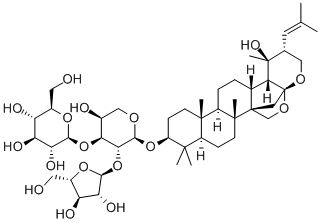 Bacopasaponin CͼƬ