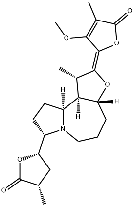 ProtostemonineͼƬ