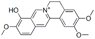 Palmaturbine图片