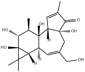 PhorbolͼƬ