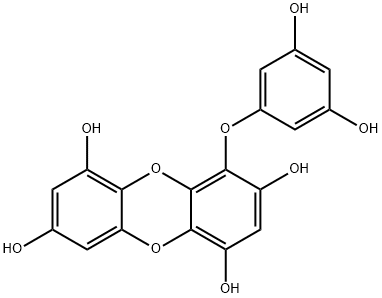 EckolͼƬ