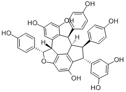 Suffruticosol AͼƬ