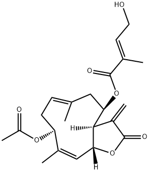 ChromolaenideͼƬ